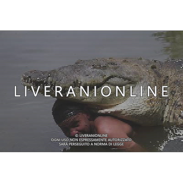 Siquirres - Gilberto Shedden, anche conosciuto come Tarzan Tico,in acqua con un piccolo \'Pocho\' coccodrillo, in uno stagno in Siquirres ©photoshot/AG ALDO LIVERANI SAS ITALY ONLY