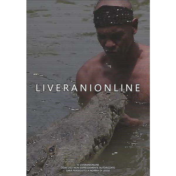 Siquirres - Gilberto Shedden, anche conosciuto come Tarzan Tico,in acqua con un piccolo \'Pocho\' coccodrillo, in uno stagno in Siquirres ©photoshot/AG ALDO LIVERANI SAS ITALY ONLY