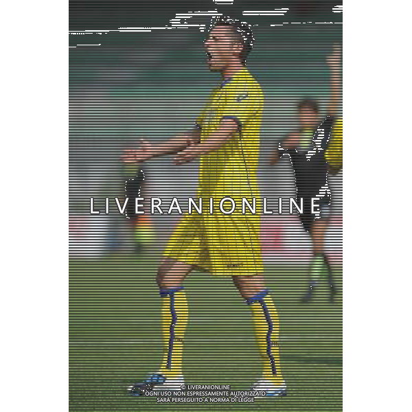 Campionato Lega PRO 1Á Divisione girone A Monza 5-09-2010 Monza - Verona nella foto: Thomas Pichlmann (Verona) foto Garavaglia - ag. Aldo Liverani sas