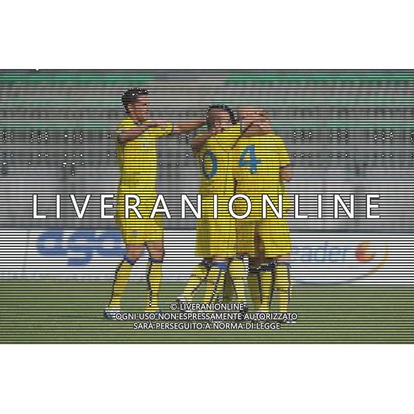 Campionato Lega PRO 1Á Divisione girone A Monza 5-09-2010 Monza - Verona nella foto: esultanza Verona dopo un gol foto Garavaglia - ag. Aldo Liverani sas