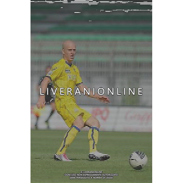 Campionato Lega PRO 1Á Divisione girone A Monza 5-09-2010 Monza - Verona nella foto: Emil Hallfredsson (Verona) foto Garavaglia - ag. Aldo Liverani sas
