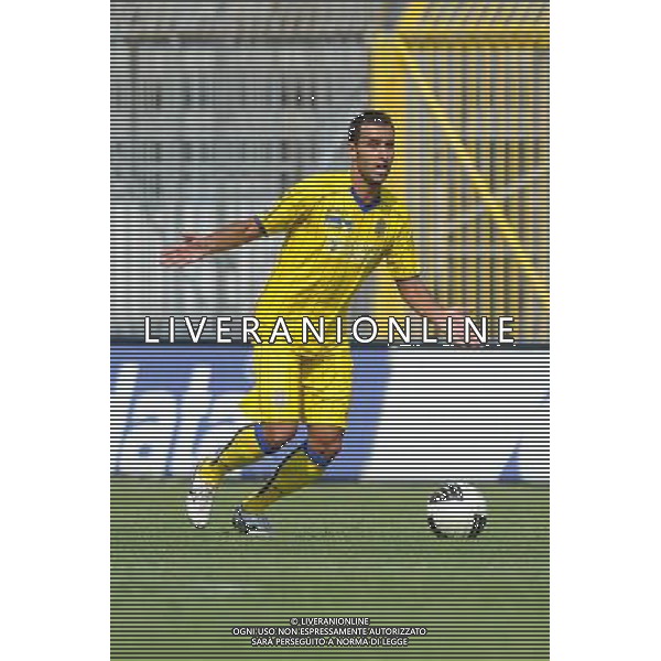 Campionato Lega PRO 1Á Divisione girone A Monza 5-09-2010 Monza - Verona nella foto: Domenico Maietta (Verona) foto Garavaglia - ag. Aldo Liverani sas