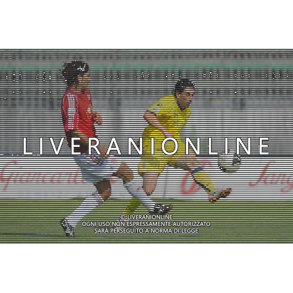 Campionato Lega PRO 1Á Divisione girone A Monza 5-09-2010 Monza - Verona nella foto: Giuseppe Le Noci (Verona) foto Garavaglia - ag. Aldo Liverani sas