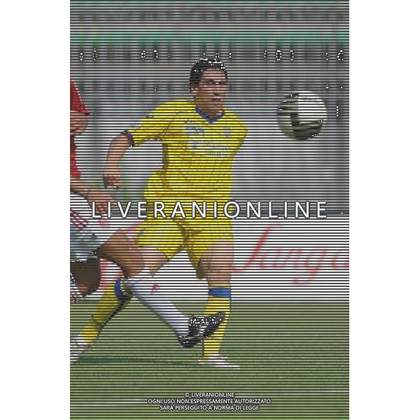 Campionato Lega PRO 1Á Divisione girone A Monza 5-09-2010 Monza - Verona nella foto: Giuseppe Le Noci (Verona) foto Garavaglia - ag. Aldo Liverani sas