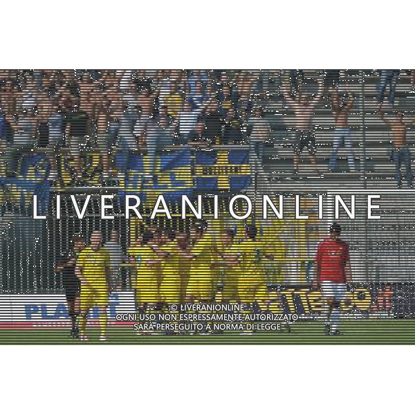 Campionato Lega PRO 1Á Divisione girone A Monza 5-09-2010 Monza - Verona nella foto: giocatori e tifosi del Verona esultano dopo un gol foto Garavaglia - ag. Aldo Liverani sas
