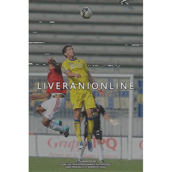 Campionato Lega PRO 1Á Divisione girone A Monza 5-09-2010 Monza - Verona nella foto: Thomas Pichlmann (Verona) foto Garavaglia - ag. Aldo Liverani sas