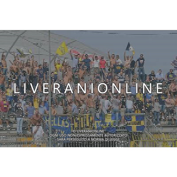 Campionato Lega PRO 1Á Divisione girone A Monza 5-09-2010 Monza - Verona nella foto: i tifosi del Verona foto Garavaglia - ag. Aldo Liverani sas