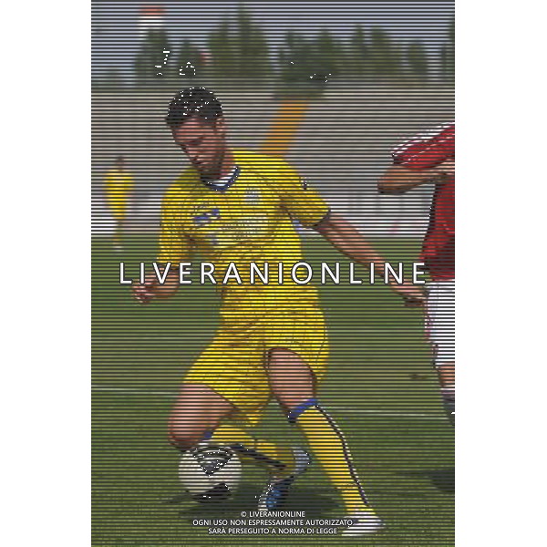 Campionato Lega PRO 1Á Divisione girone A Monza 5-09-2010 Monza - Verona nella foto: Thomas Pichlmann (Verona) foto Garavaglia - ag. Aldo Liverani sas