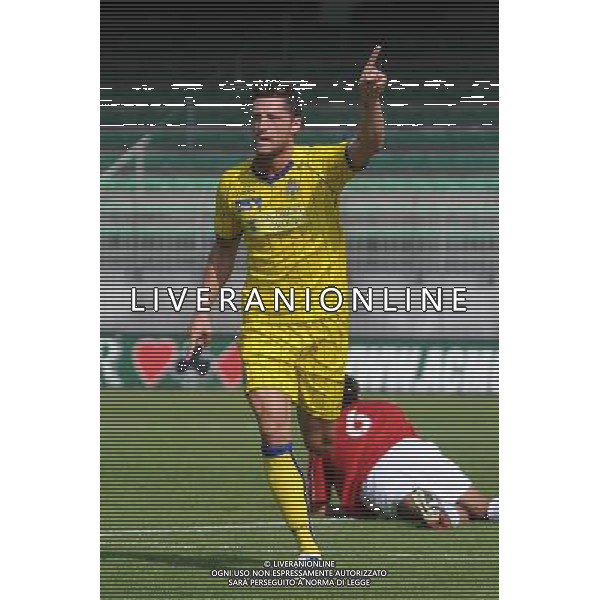 Campionato Lega PRO 1Á Divisione girone A Monza 5-09-2010 Monza - Verona nella foto: Thomas Pichlmann (Verona) foto Garavaglia - ag. Aldo Liverani sas