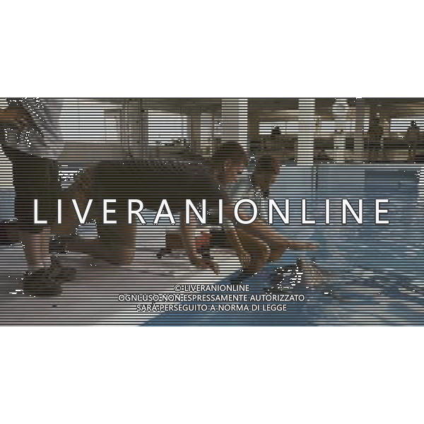 AUSTIN STOWELL as Kyle Connellan and AUSTIN HIGHSMITH as Phoebe with WINTER in Alcon Entertainment\'s family adventure Dolphin Tale a Warner Bros. Pictures release. © LFI - PHOTOSHOT - AG. ALDO LIVERANI SAS ITALY ONLY