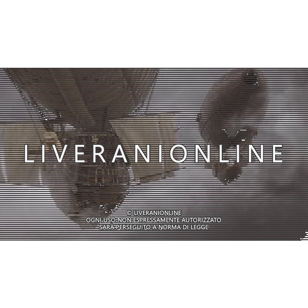 Airships from a scene in THE THREE MUSKETEERS. © LFI - PHOTOSHOT - AG. ALDO LIVERANI SAS ITALY ONLY FILM: \' I TRE MOSCHETTIERI 3D\' ( 2011)