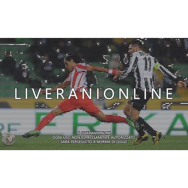 UEFA Europa League 2011/2012 Gruppo I Udine - 20.10.2011 Udinese-Atletico Madrid Nella Foto:falcao domizzi /Ph.Vitez-Ag. Aldo Liverani