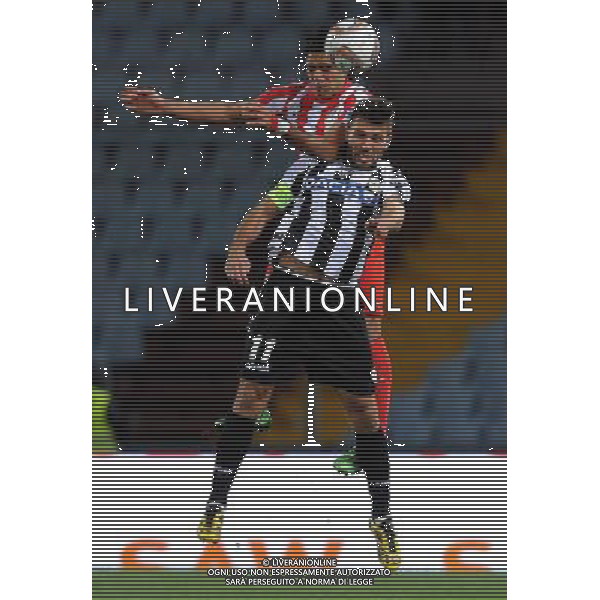 UEFA Europa League 2011/2012 Gruppo I Udine - 20.10.2011 Udinese-Atletico Madrid Nella Foto:domizzi e falcao /Ph.Vitez-Ag. Aldo Liverani