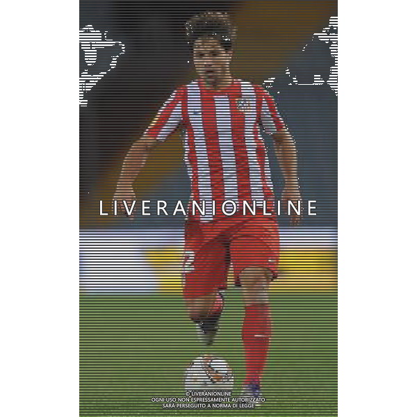 UEFA Europa League 2011/2012 Gruppo I Udine - 20.10.2011 Udinese-Atletico Madrid Nella Foto:Diego /Ph.Vitez-Ag. Aldo Liverani