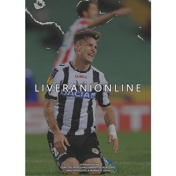 UEFA Europa League 2011/2012 Gruppo I Udine - 20.10.2011 Udinese-Atletico Madrid Nella Foto:Antonio Floro Flores /Ph.Vitez-Ag. Aldo Liverani