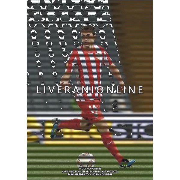 UEFA Europa League 2011/2012 Gruppo I Udine - 20.10.2011 Udinese-Atletico Madrid Nella Foto:Gabi /Ph.Vitez-Ag. Aldo Liverani