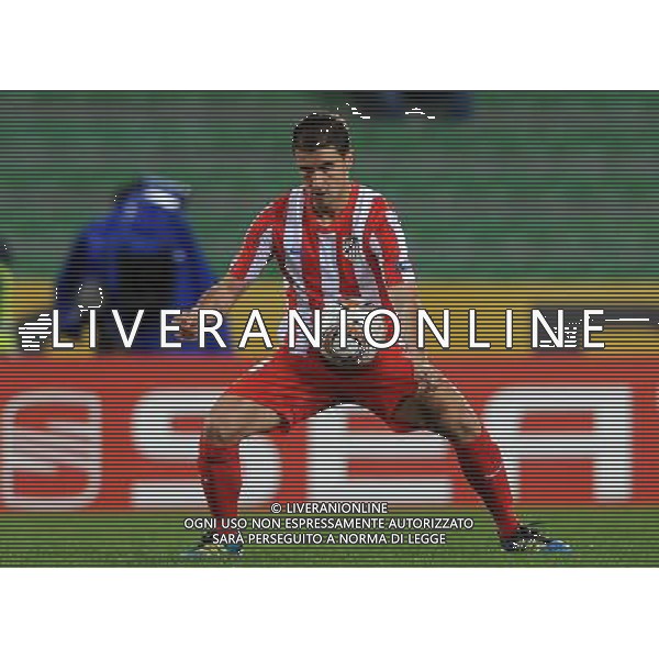 UEFA Europa League 2011/2012 Gruppo I Udine - 20.10.2011 Udinese-Atletico Madrid Nella Foto:Pizzi /Ph.Vitez-Ag. Aldo Liverani