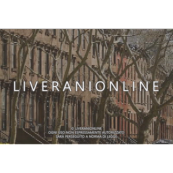 Brownstones in the Clinton Hill neighborhood of Brooklyn in New York on Sunday, April 4, 2010. ( Richard B. Levine) new york city - situazioni ©photoshot/AG ALDO LIVERANI SAS ITALY ONLY