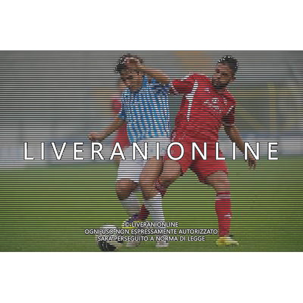 Campionato Lega PRO 1Á Divisione - 10Á giornata Monza 30-10-2011 Monza - Spal nella foto: Cristian Agnelli (Spal) a SX e Mariano Romano (Monza) foto Roberto Garavaglia - ag. Aldo Liverani sas