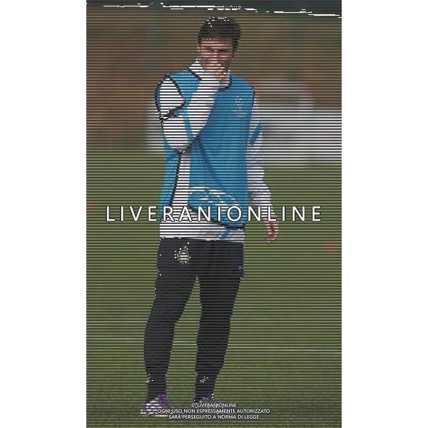 APPIANO GENTILE (CO) ALLENAMENTO DELL\'INTER IN VISTA DELLA SFIDA DI CHAMPIONS CON IL LILLE NELLA FOTO ZANETTI PH.FIOCHI_AG ALDO LIVERANI SAS