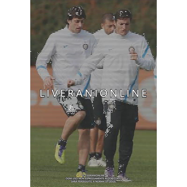 APPIANO GENTILE (CO) ALLENAMENTO DELL\'INTER IN VISTA DELLA SFIDA DI CHAMPIONS CON IL LILLE NELLA FOTO ZANETTI MILITO PH.FIOCHI_AG ALDO LIVERANI SAS