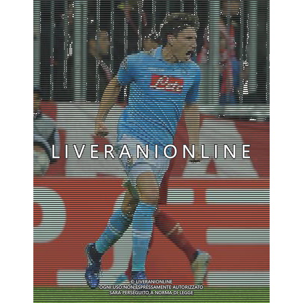 UEFA Champions League 2011/2012 Gruppo A Monaco di Baviera - 02.11.2011 Bayern Monaco-Napoli Nella Foto:fernandez esulta dopo secondo gol /Ph.Vitez-Ag. Aldo Liverani