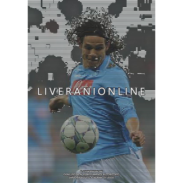 UEFA Champions League 2011/2012 Gruppo A Monaco di Baviera - 02.11.2011 Bayern Monaco-Napoli Nella Foto:Edinson Cavani /Ph.Vitez-Ag. Aldo Liverani