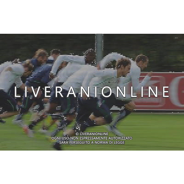 Raduno Nazionale Italiana a Coverciano Firenze - 08.11.2011 Allenamento Nella Foto:Chiellini-Marchisio-Gruppo /Ph.Vitez-Ag. Aldo Liverani CALCIO