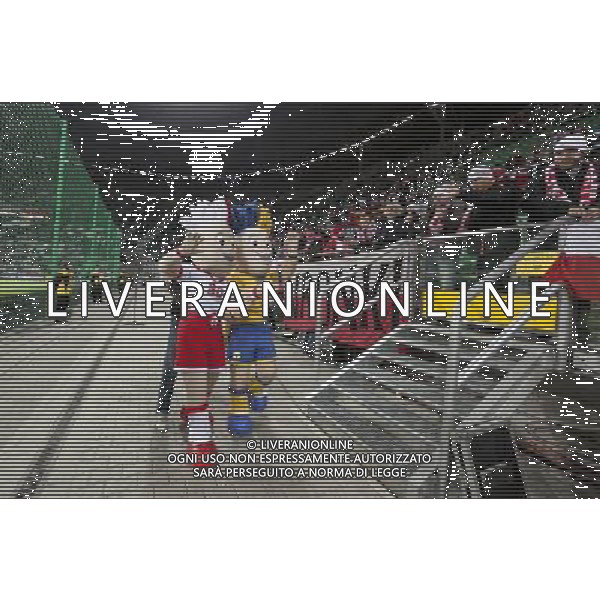 WROCLAW 11.11.2011 PIERWSZY MECZ REPREZENTACJI POLSKI NA NOWYM STADION MIEJSKI PRZY ALEJA SLASKA TOWARZYSKI MECZ PILKA NOZNA POLSKA vs WLOCHY N Z SLAVEK I SLAVKO Z KIBICAMI SEBASTIAN BOROWSKI / Newspix.pl FIRST MATCH NATIONAL TEAM ON NEW STADIUM IN THE ALLEY SLASKA FRIENDLY MATCH POLAND vs ITALY --- Newspix.pl amichevole polonia italia ©AG ALDO LIVERANI SAS ITALY ONLY