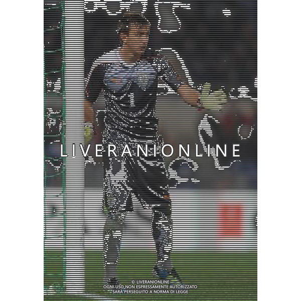 Amichevole Roma - 15.11.2011 Italia-Uruguay Nella Foto:muslera /Ph.Vitez-Ag. Aldo Liverani