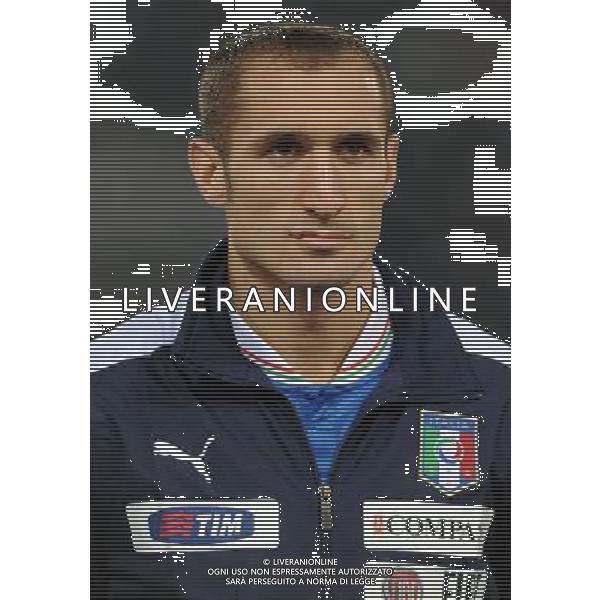 Amichevole Roma - 15.11.2011 Italia-Uruguay Nella Foto:Giorgio Chiellini /Ph.Vitez-Ag. Aldo Liverani