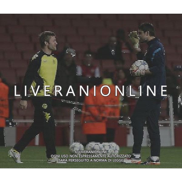 Borussia Dortmund\'s Jakub Blaszczykowski and Arsenal\'s Lukasz Fabianski Football - UEFA Champions League - Group F - Arsenal London v Borussia Dortmund - Wed 23 Nov 2011 - Emirates Stadium - London - UK Foto: Michal Zemanek / Newspix.pl --- Newspix.pl AG ALDO LIVERANI S A S ONLY ITALY *** Local Caption *** www.newspix.pl mail us: info@newspix.pl call us: 0048 022 23 22 222 --- Polish Picture Agency by Ringier Axel Springer Poland