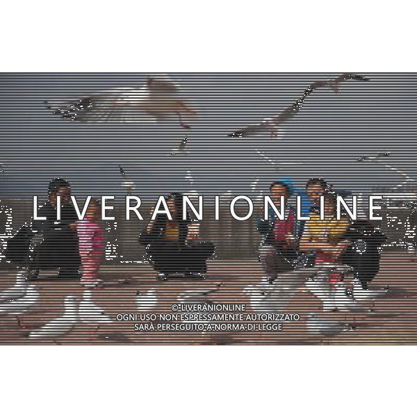 (111125) -- KUNMING, Nov. 25, 2011 () -- Tourists play with black-headed gulls on the Haigeng Bank in Kunming City, capital of southwest China\'s Yunnan Province, Nov. 25, 2011. Tens of thousands of black-headed gulls have immigrated here from Siberia to spend winter and the number is expected to reach 30,000 by the end of December. (/Qin Qing) (lfj) - Xinhua/Photoshot - Ag. Aldo Liverani sas ITALY ONLY GABBIANI