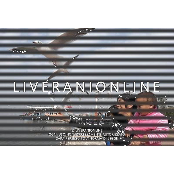 (111125) -- KUNMING, Nov. 25, 2011 () -- Citizens feed black-headed gulls on the Haigeng Bank in Kunming City, capital of southwest China\'s Yunnan Province, Nov. 25, 2011. Tens of thousands of black-headed gulls have immigrated here from Siberia to spend winter and the number is expected to reach 30,000 by the end of December. (/Qin Qing) (lfj) - Xinhua/Photoshot - Ag. Aldo Liverani sas ITALY ONLY GABBIANI
