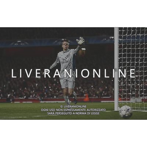 Arsenal\'s Wojciech Szczesny Football - UEFA Champions League - Group F - Arsenal London v Borussia Dortmund - Wed 23 Nov 2011 - Emirates Stadium - London - UK Foto: Michal Zemanek / Newspix.pl LIGA MISTRZOW SEZON 2011/2012 PILKA NOZNA ARSENAL LONDYN vs BORUSSIA DORTMUND --- Newspix.pl - AG. ALDO LIVERANI SAS ITALY ONLY