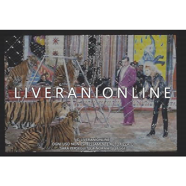 TRASMISSIONE TELEVISIVA IL CIRCO DELLE STELLE 2006 NELLA FOTO UNA SCENA DELLA TRASMISSIONE AG ALDO LIVERANI
