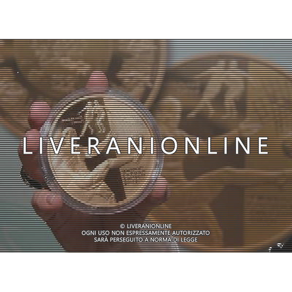 (111227) -- KIEV, Dec. 27, 2011 () -- A commemorative coin for the UEFA EURO-2012 football tournament is displayed during it\'s presentation in the Olympic National Sports Complex in Kiev, capital of Ukraine, Dec. 27, 2011. (/Olga Tarnavskaya) ©photoshot/Agenzia Aldo Liverani Sas - ITALY ONLY - Presentazione della moneta commemorativa per gli Europei di calcio UEFA EURO 2012 presso il Complesso Olimpico Nazionale dello Sport a Kiev, capitale dell\'Ucraina, 27 dicembre 2011 