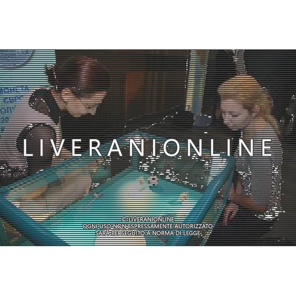 (111227) -- KIEV, Dec. 27, 2011 () -- Ukrainian citizens look at commemorative coins for the UEFA EURO-2012 football tournament during it\'s presentation in the Olympic National Sports Complex in Kiev, capital of Ukraine, Dec. 27, 2011. (/Olga Tarnavskaya) ©photoshot/Agenzia Aldo Liverani Sas - ITALY ONLY - Presentazione della moneta commemorativa per gli Europei di calcio UEFA EURO 2012 presso il Complesso Olimpico Nazionale dello Sport a Kiev, capitale dell\'Ucraina, 27 dicembre 2011 