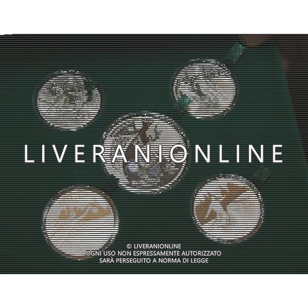 (111227) -- KIEV, Dec. 27, 2011 () -- Commemorative coins for the UEFA EURO-2012 football tournament are seen during it\'s presentation in the Olympic National Sports Complex in Kiev, capital of Ukraine, Dec. 27, 2011. (/Olga Tarnavskaya) ©photoshot/Agenzia Aldo Liverani Sas - ITALY ONLY - Presentazione della moneta commemorativa per gli Europei di calcio UEFA EURO 2012 presso il Complesso Olimpico Nazionale dello Sport a Kiev, capitale dell\'Ucraina, 27 dicembre 2011 