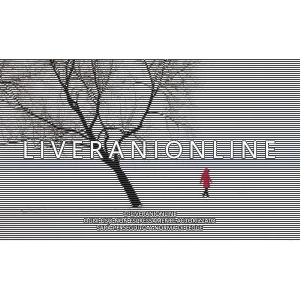 (111229) -- BEIJING, Dec. 29, 2011 () -- A lady walks on the snow-covered ground in Guojiawu Village, on the outskirt of Beijing, capital of China, Dec. 29, 2011. The capital city witnessed a snowfall Thursday, the second time this winter. (/Pu Xiangdong) (hdt) -Xinhua/Photoshot - ag. aldo liverani sas italy only PECHINO - NEVE/FREDDO