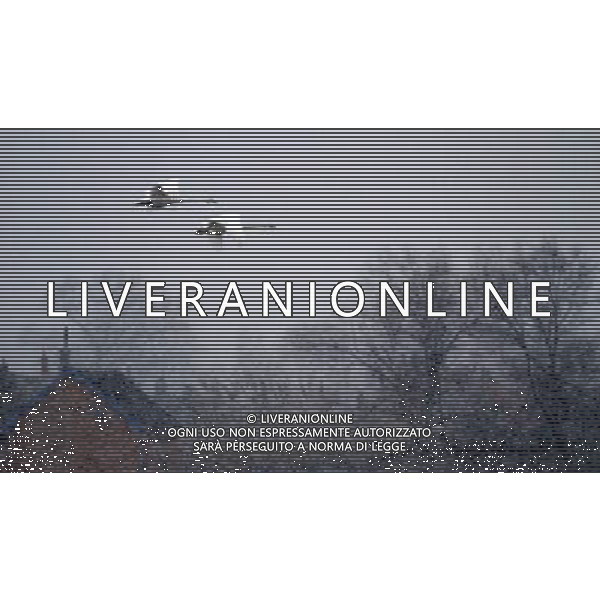 (120104) -- RONGCHENG, Jan. 4, 2012 () -- Swans fly over the Whooper Swan Nature Reserve in Rongcheng, east China\'s Shandong Province, Jan. 3, 2012. The first snowfall in 2012 hit the nature reserve on Tuesday. (/Wang Fudong) (wqc) ©PHOTOSHOT/AG ALDO LIVERANI SAS - ITALY ONLY - *** Local Caption *** .