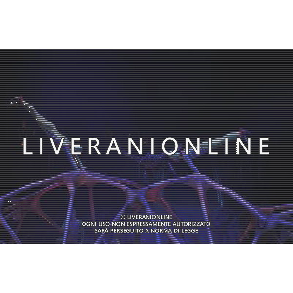 Cirque Du Soleil perform Totem at the Albert Hall. London 4th January 2011. ©photoshot/Agenzia Aldo Liverani Sas - ITALY ONLY - Artisti del Cirque Du Soleil durante le Prove dello spettacolo \'Totem\' al Royal Albert Hall di Londra, Inghilterra 4 gennaio 2012