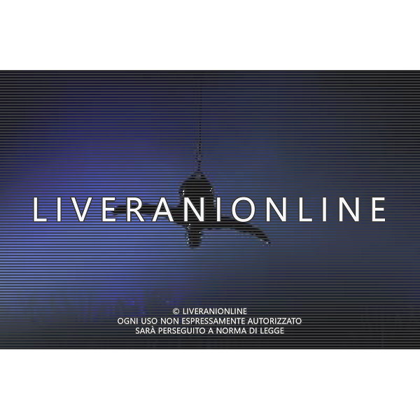 Cirque Du Soleil perform Totem at the Albert Hall. London 4th January 2011. ©photoshot/Agenzia Aldo Liverani Sas - ITALY ONLY - Artisti del Cirque Du Soleil durante le Prove dello spettacolo \'Totem\' al Royal Albert Hall di Londra, Inghilterra 4 gennaio 2012