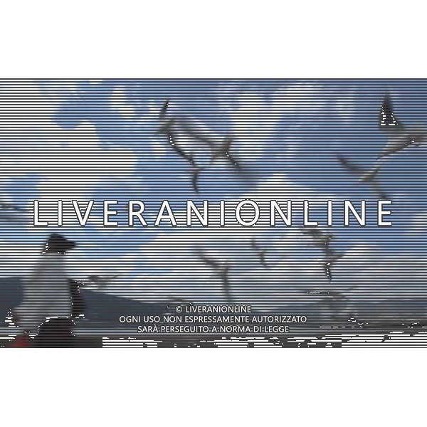 (120110) KUNMING, Jan. 10, 2012 () A girl walks past the Haigeng Bank in Kunming, capital of southwest China\'s Yunnan Province, Jan. 10, 2011. More than 30,000 black headed gulls migrated from Siberia to Kunming to spend this winter. (/Qin Qing) (ly) ©photoshot/AG ALDO LIVERANI SAS - ITALY ONLY -