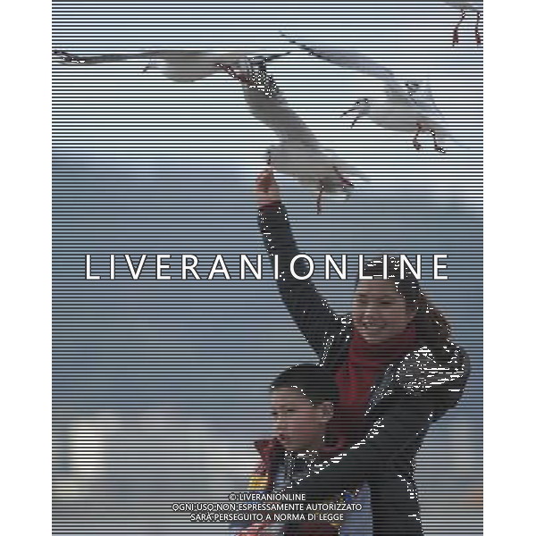 (120110) KUNMING, Jan. 10, 2012 () A resident feeds black headed gulls on the Haigeng Bank in Kunming, capital of southwest China\'s Yunnan Province, Jan. 10, 2011. More than 30,000 black headed gulls migrated from Siberia to Kunming to spend this winter. (/Qin Qing) (ly) ©photoshot/AG ALDO LIVERANI SAS - ITALY ONLY -