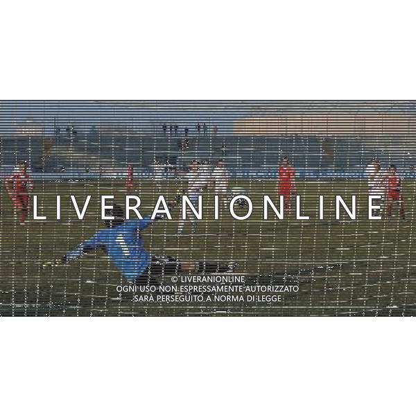 Lega Pro 1Â° Divisione Girone A 2011/2012 19Â°Giornata Monza - 15.01.2012 Monza-Reggiana Nella Foto:alessi gol /Ph.Vitez-Ag. Aldo Liverani