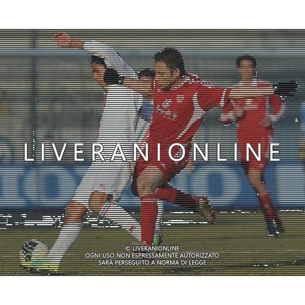 Lega Pro 1Â° Divisione Girone A 2011/2012 19Â°Giornata Monza - 15.01.2012 Monza-Reggiana Nella Foto:ardizzone-colacone /Ph.Vitez-Ag. Aldo Liverani