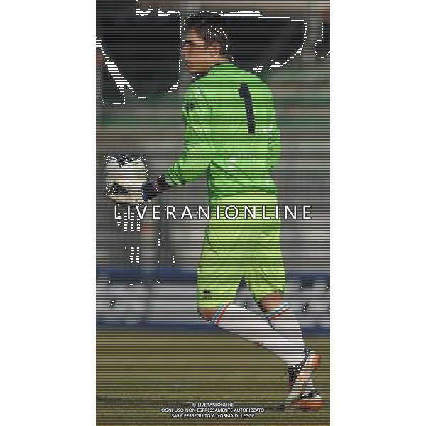Lega Pro 1¡ Divisione Girone A 2011/2012 19¡Giornata Monza - 15.01.2012 Monza-Reggiana Nella Foto:Silvestri Marco /Ph.Vitez-Ag. Aldo Liverani