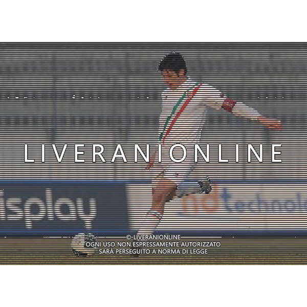 Lega Pro 1¡ Divisione Girone A 2011/2012 19¡Giornata Monza - 15.01.2012 Monza-Reggiana Nella Foto: /Ph.Vitez-Ag. Aldo Liverani