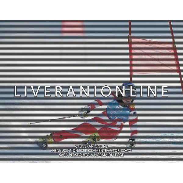 (120118) -- INNSBRUCK, Jan. 18, 2012 () -- Jasmina Suter of Switzerland competes during the women\'s alpine skiing giant slalom race at the first Winter Youth Olympic Games in Innsbruck, Austria, Jan. 18, 2012. Suter took the bronze medal of the event. (/Xu Liang) (zc) ©photoshot/Agenzia Aldo Liverani Sas - ITALY ONLY - Giochi Olimpici della Gioventu\' a Innsbruck, Austria, 18 Gennaio 2012.